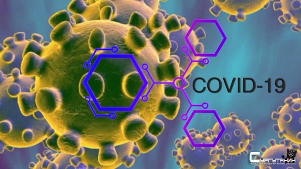 За сутки в Югре 224 новых случая COVID, из них почти четверть — в Сургуте