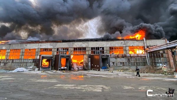В Подмосковье загорелся ангар на площади 8 тыс. кв. м