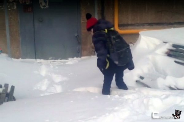 В Сургуте детям пришлось идти в школу сквозь полуметровые сугробы