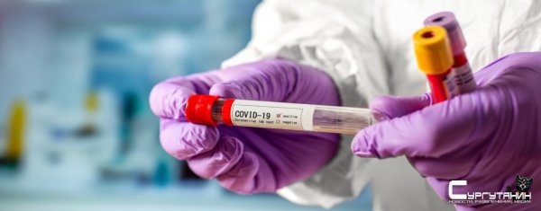 В Югре выявлено 219 новых случаев COVID, за сутки 6 человек скончалось