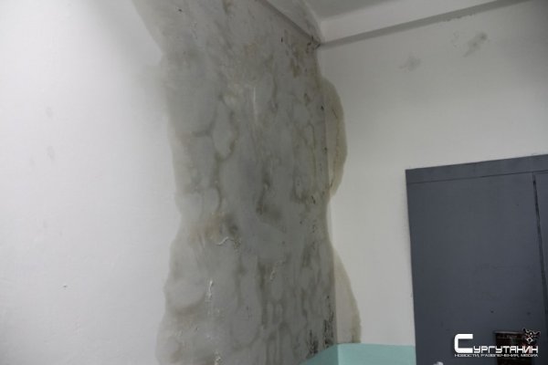В одной из многоэтажек в Сургуте по стенам бежит кипяток