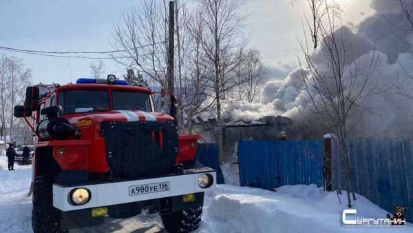 В одном из дачных кооперативов Сургута в пожаре погибли двое детей