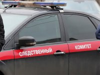 Выставка из человеческих тел в Москве спровоцировала проверку СК