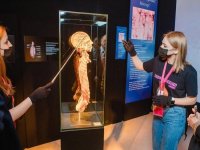 Выставка BODY WORLDS на ВДНХ становится все более обсуждаемой