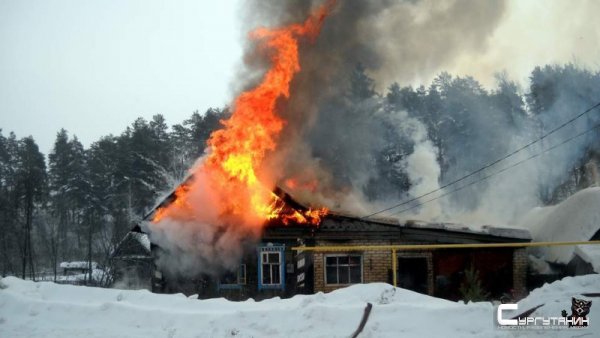 В одном из дачных кооперативов Сургута на одном участке сгорели сразу три постройки