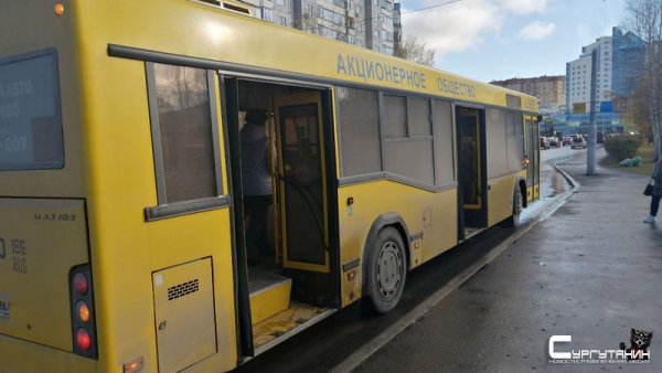 Все на дачу. Стало известно, как будут курсировать автобусы в Сургуте на майские праздники