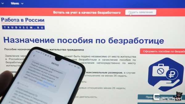В России упростили процедуру назначения льгот и пособий