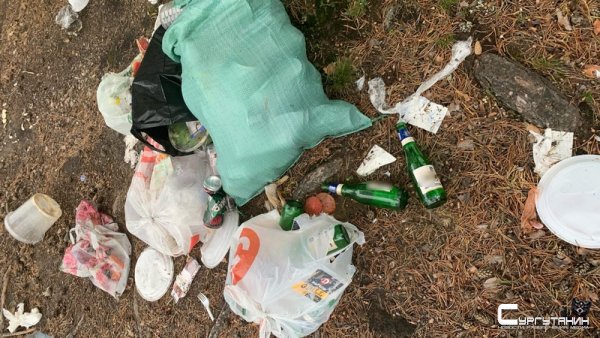 Сургутяне продолжают превращать места своих пикников в стихийные свалки