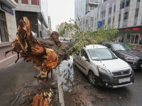 Ураганный ветер повалил десятки деревьев в Москве, есть пострадавшие