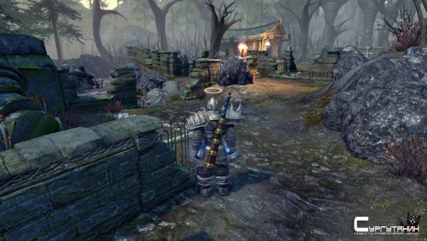 Фил Спенсер: Fable выйдет гораздо раньше The Elder Scrolls 6