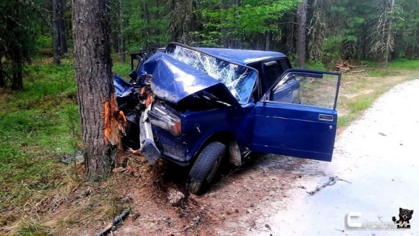 В Югре пьяный водитель на ВАЗе врезался в дерево, одна из пассажирок погибла