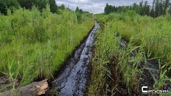 На месторождении дочки «Роснефти» в Югре прорвало нефтепровод