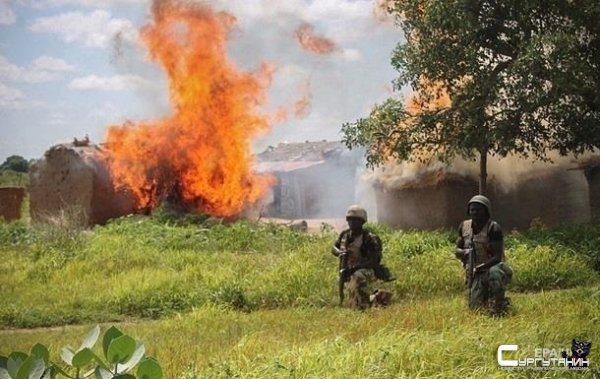 В Нигерии из плена боевиков спасли 100 человек