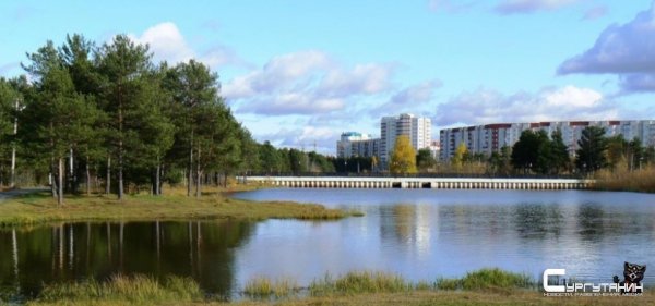 Отныне все водоемы Сургута запрещены для купания по решению Роспотребнадзора