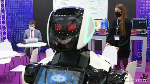 До чего дошел прогресс. В некоторых образовательных учреждениях Сургута занятия будут вести роботы