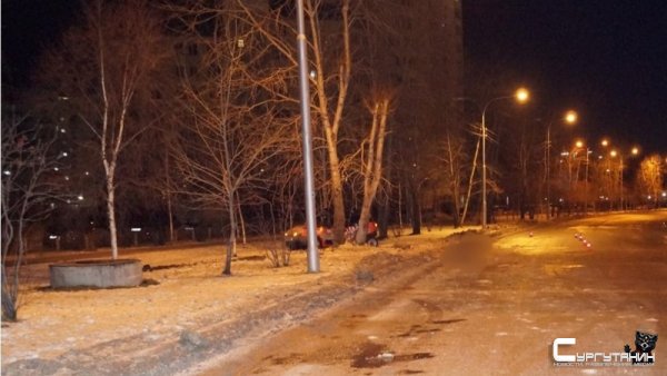 В Сургуте автомобилист не справился со скользкой дорогой и влетел в дерево