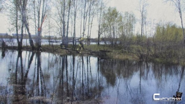 Современные технологии позволили югорским следователям найти убийцу через 18 лет