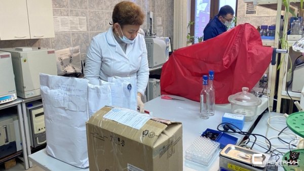 В Тюмени нашли продавца суррогата, которым насмерть отравились югорчане