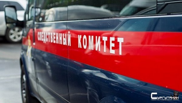 В Югре арестовали молодого человека, подозреваемого в совращении малолетних