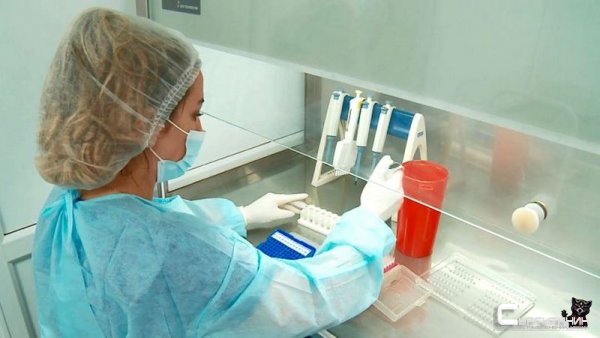 Очередной антирекорд по числу новых случаев COVID-19 в Югре – 3 283 за сутки