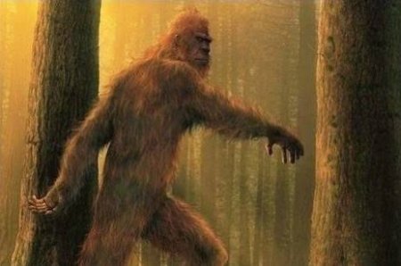 Йети вместо пруссаков: как Наполеон выиграл Ватерлоо